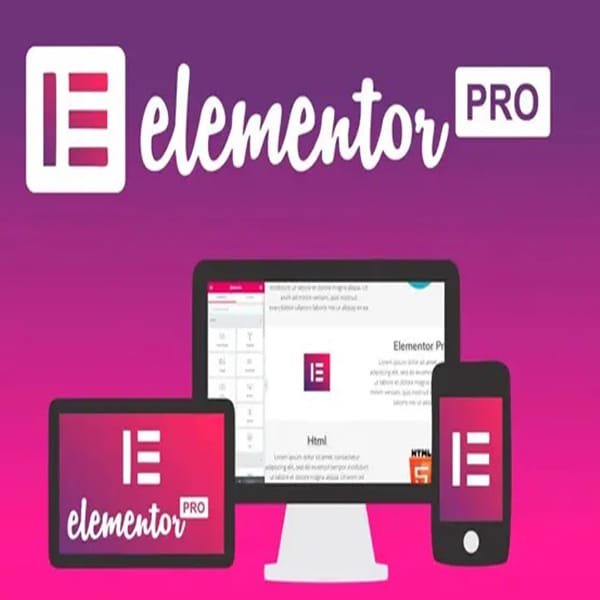 Elementor Pro